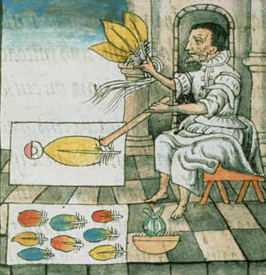 Cortès 