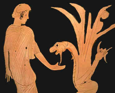 Héraclès tuant Ladon