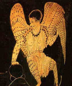 Harpie